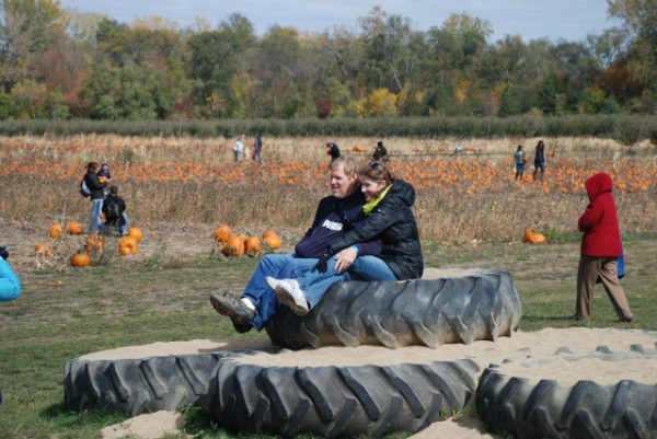 All Seasons Apple Orchard Corn Maze
