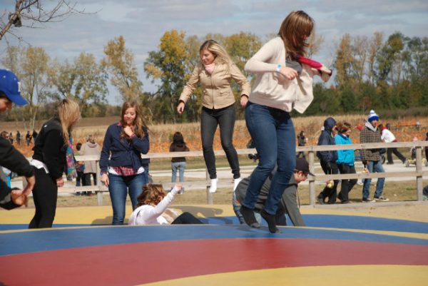 All Seasons Apple Orchard Corn Maze