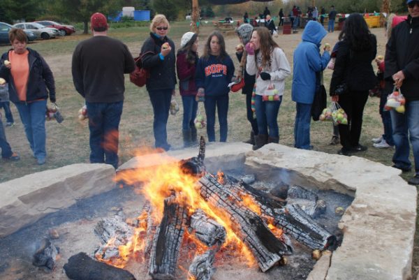 All Seasons Apple Orchard Corn Maze