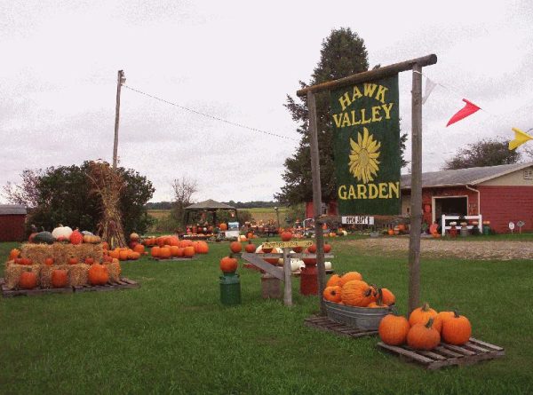 Hawk Valley Garden Pumpkin and Produce Stand's Fall Festival