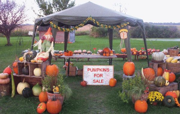 Hawk Valley Garden Pumpkin and Produce Stand's Fall Festival