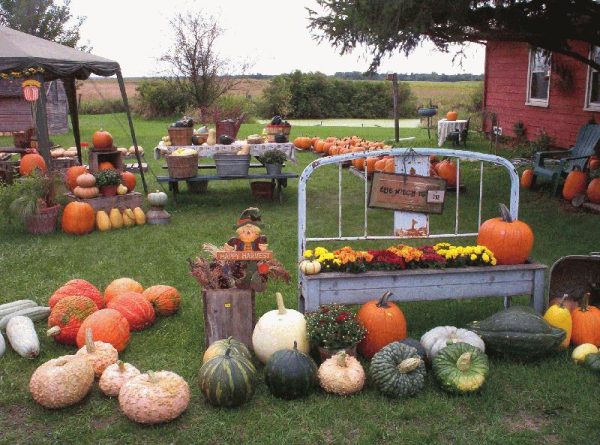 Hawk Valley Garden Pumpkin and Produce Stand's Fall Festival