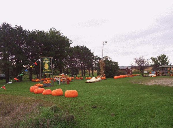 Hawk Valley Garden Pumpkin and Produce Stand's Fall Festival