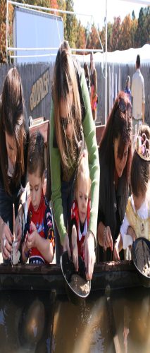 Pumpkin Picking and Family Fun