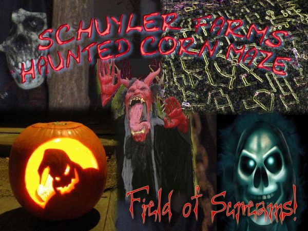 Haunted Corn Maze and More!