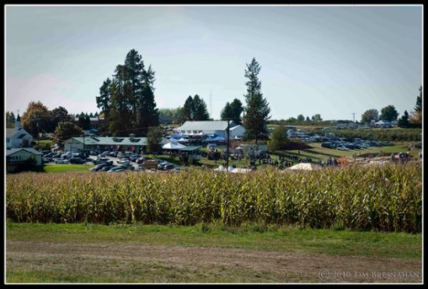 Beck's Harvest House Maze