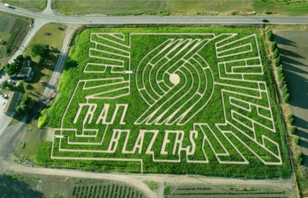 The Original Maize