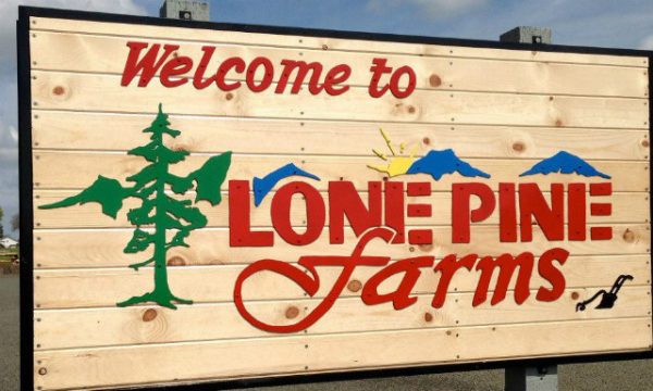 Lone Pine Corn Maze