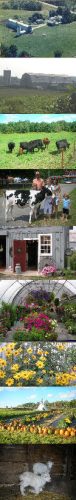 Haunted Barn and Corn Maze