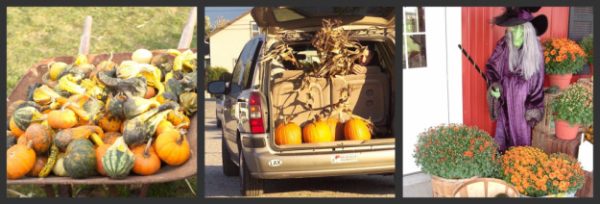 Wickham Farms