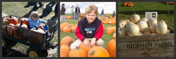 Wickham Farms