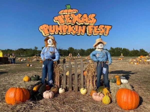 Texas Pumpkin Fest