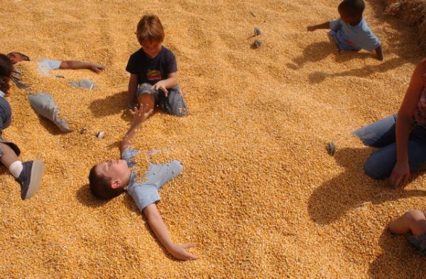 Santa Rosa Pumpkin Patch