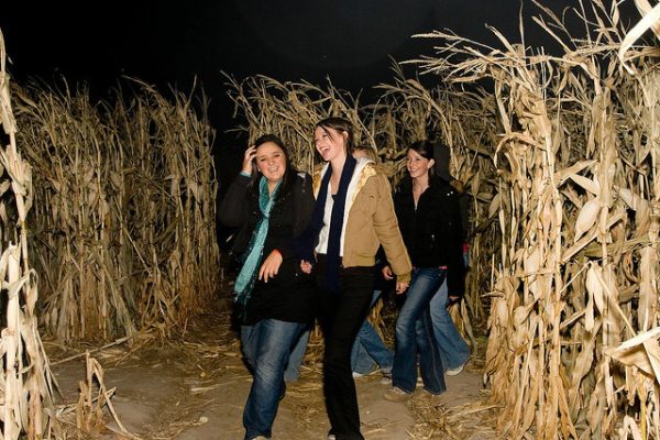 Santa Rosa Pumpkin Patch