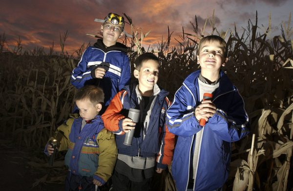 Santa Rosa Pumpkin Patch