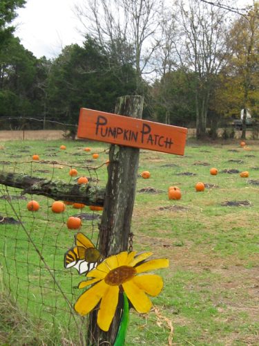 Fall Family Fun Days