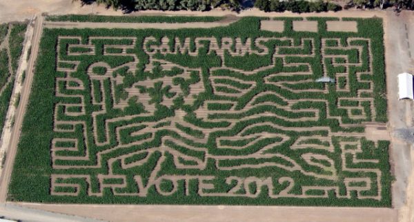 G & M Farms