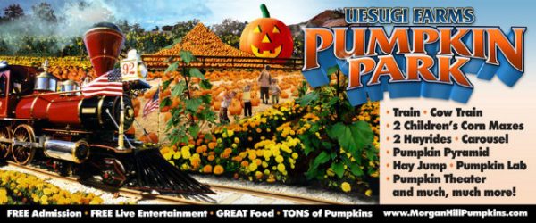 Uesugi Farms Pumpkin Park