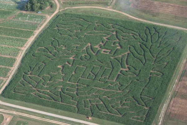 Haunted House Corn Maze(Fall Harvest Season)