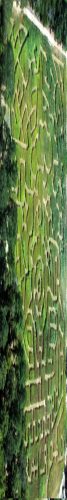 Texas State Railroad Corn Maze