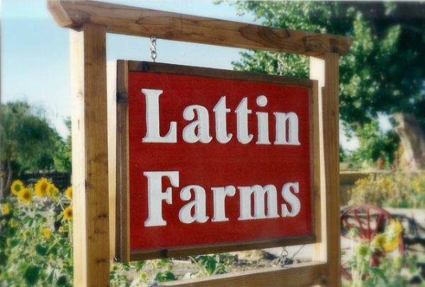 Lattin Farms