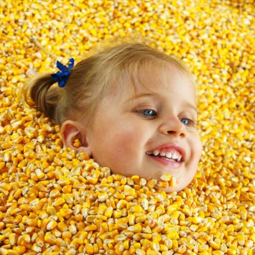 Fall Family Fun Days