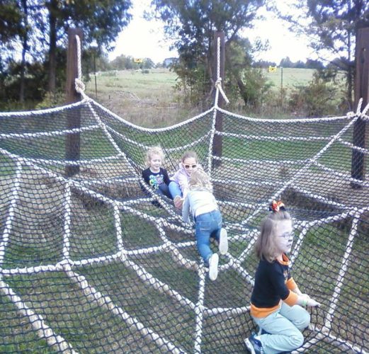 Tupelo Buffalo Park and Zoo Pumpkin Patch