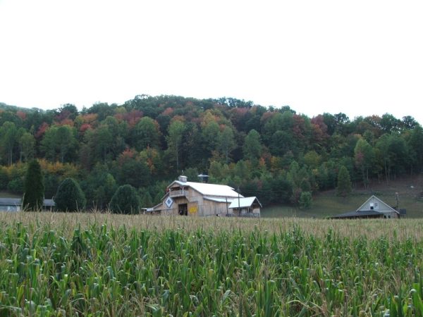 No Way Out Haunted Corn Maze & Hayride