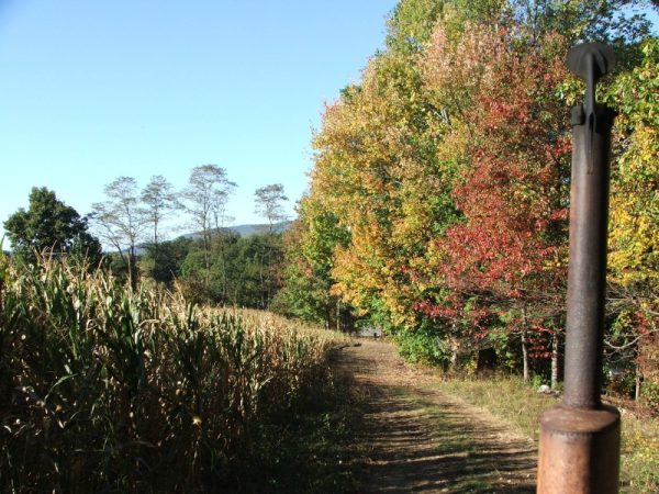 No Way Out Haunted Corn Maze & Hayride