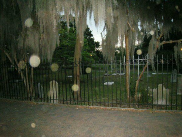 Savannah Walks