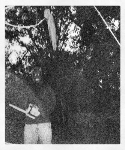 McCauley's Haunted Woods