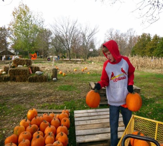 Pa Pa's Pumpkin Patch