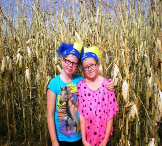 Montana Corn Maze