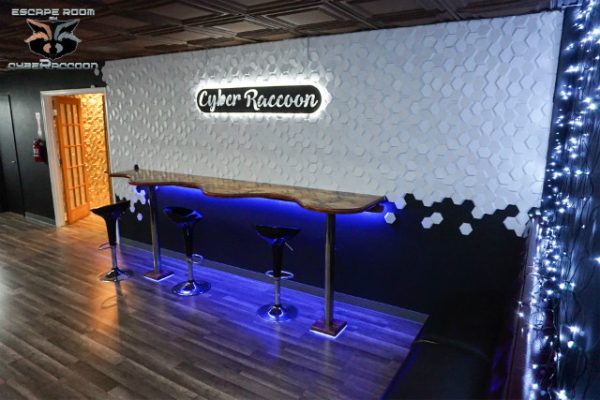 Cyber Raccoon Escape Room