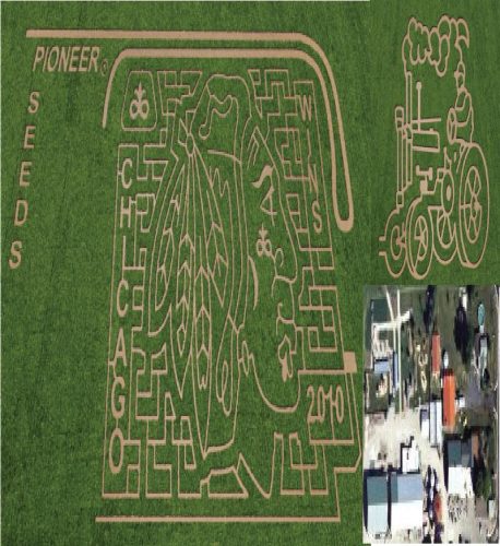 Fly The W Corn Maze