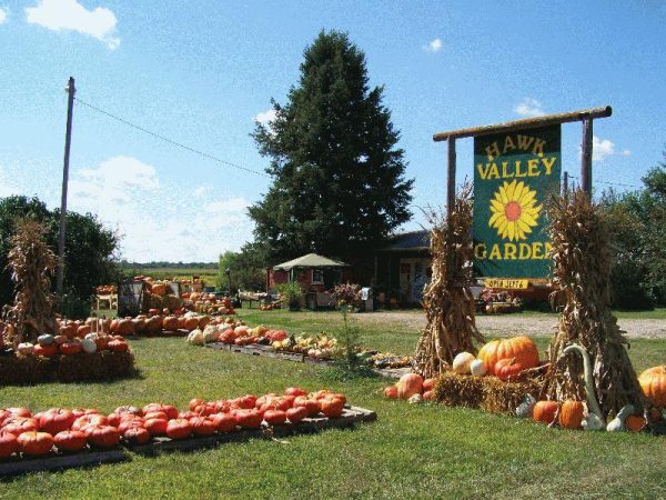 Hawk Valley Garden Pumpkin and Produce Stand's Fall Festival