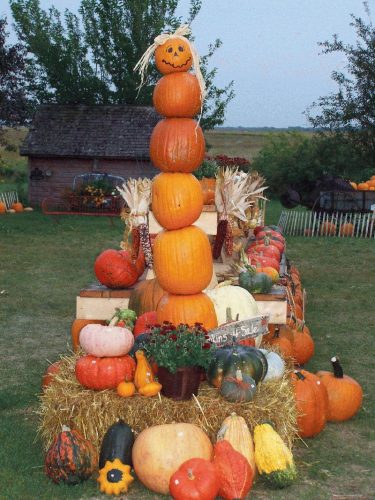Hawk Valley Garden Pumpkin and Produce Stand's Fall Festival