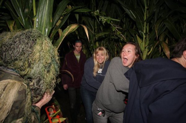 Hubb's Corn Maze