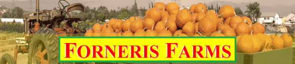 Forneris Farms Harvest Festival