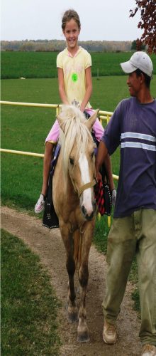 Mulberry Lane Farm