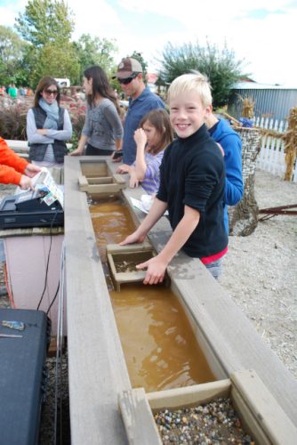 Siegel's Cottonwood Farm Pumpkin Fest