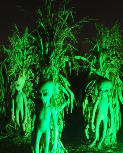 Fields of Fear