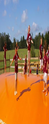 Seward Farms Maze Cornfield Maze and Haunted Halloween Hayride Maze