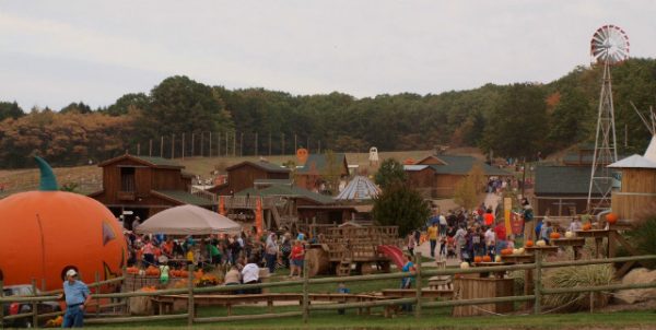 Lewis Farm Market & Petting Farm