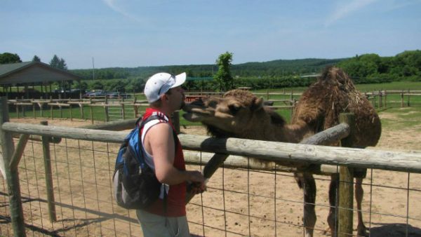 Lewis Farm Market & Petting Farm