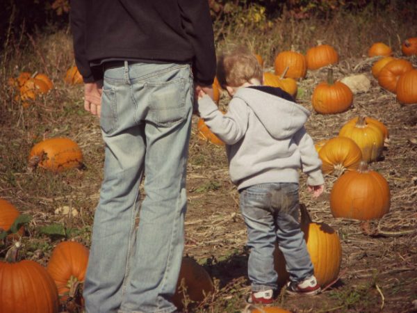 Lewis Farm Market & Petting Farm