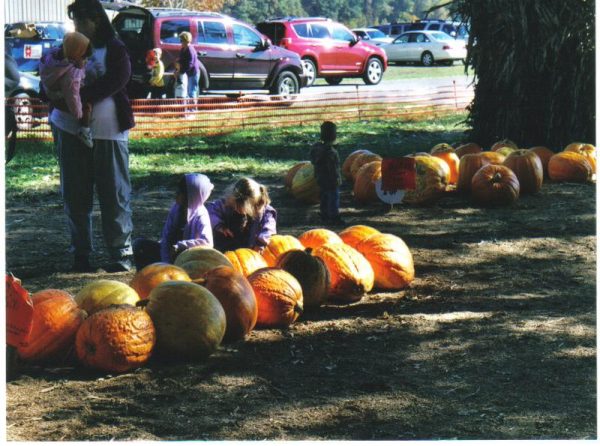 Bandy's Pumpkin Patch