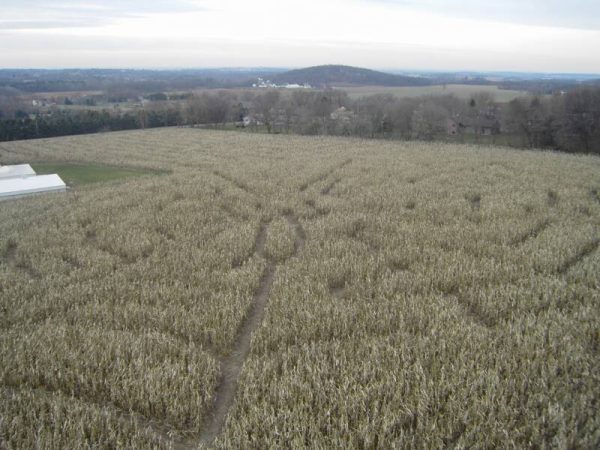 Haunted Corn Maze