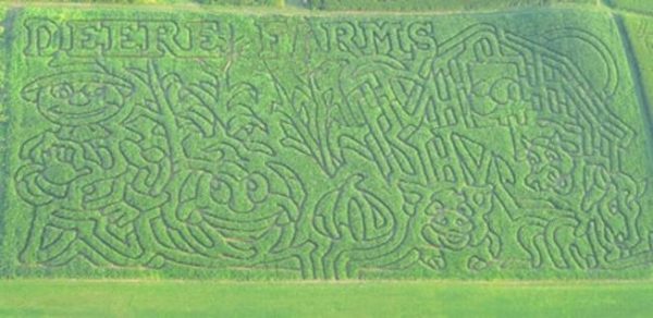 Deere Farms Corn Maze and Pumpkin Patch