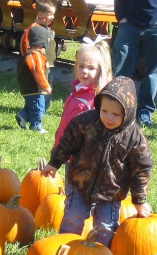 Pumpkin Train